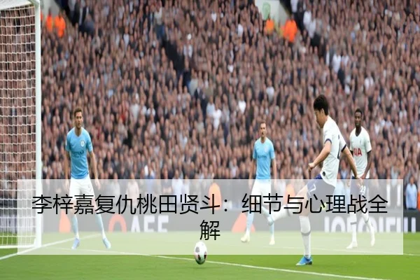 李梓嘉复仇桃田贤斗：细节与心理战全解
